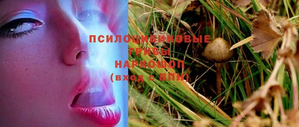 прущая мука Кукмор