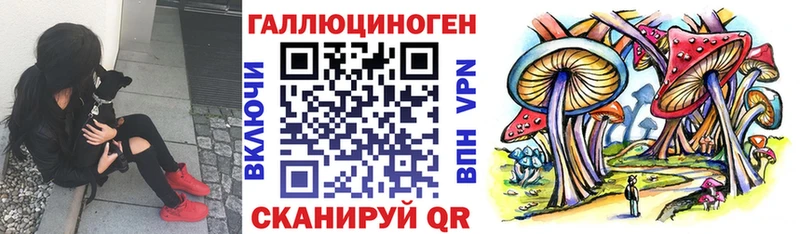 mega как зайти  Мариинский Посад  Псилоцибиновые грибы ЛСД  как найти наркотики 