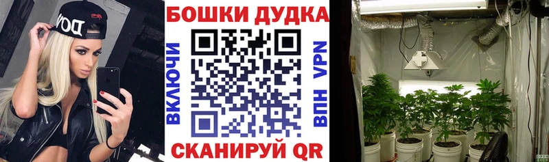 даркнет сайт  ОМГ ОМГ онион  Марихуана SATIVA & INDICA  Мариинский Посад 